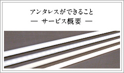 アンタレスができることサービス概要